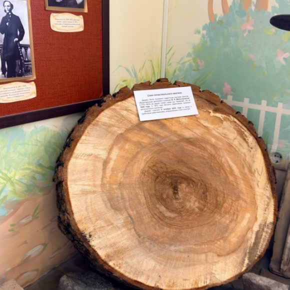 Новый экспонат в музее!